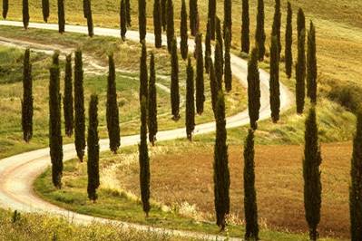Charming day trips in Tuscany