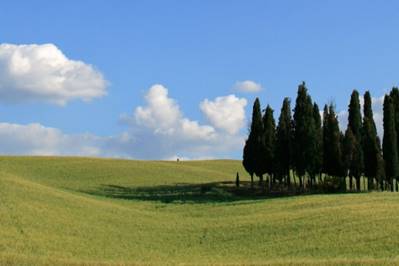 Things to do in Tuscany